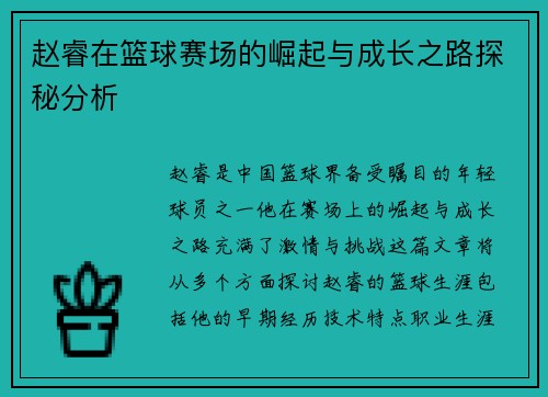 赵睿在篮球赛场的崛起与成长之路探秘分析